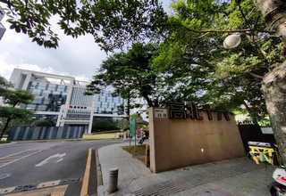 安阳帝安尼厂家直销